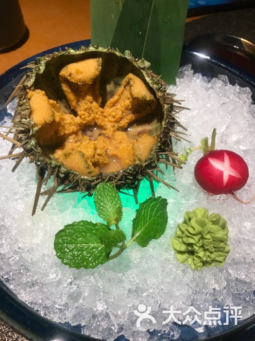 活海胆刺身
