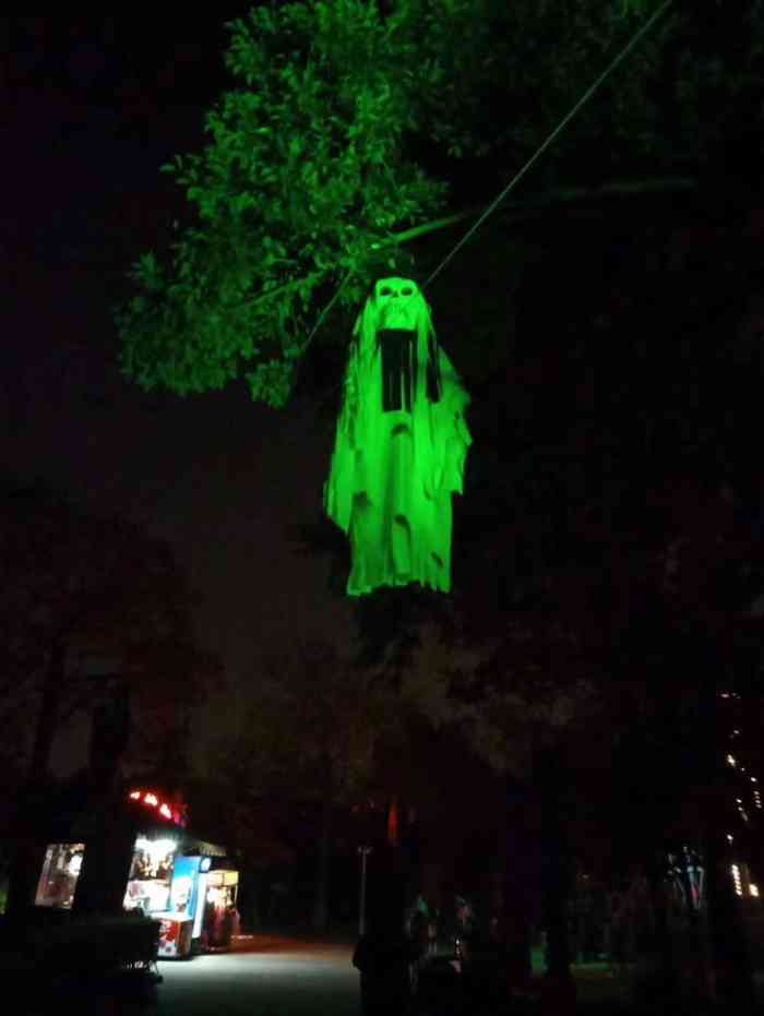 凤凰山海港乐园-"凤凰山去过2次了,过山车做的我脸疼