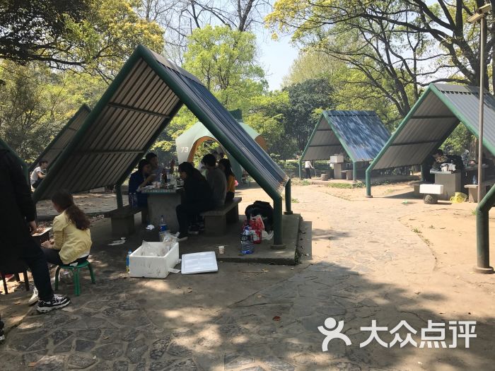 共青森林公园烧烤区-图片-上海美食-大众点评网