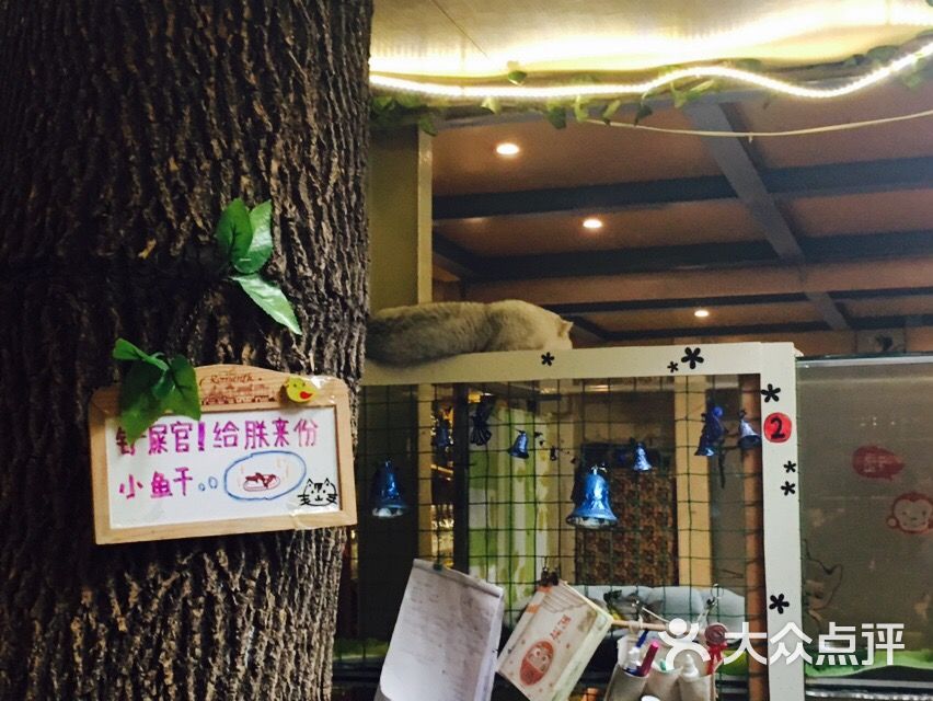 猫小院猫主题咖啡西餐厅(北锣店)图片 第1张