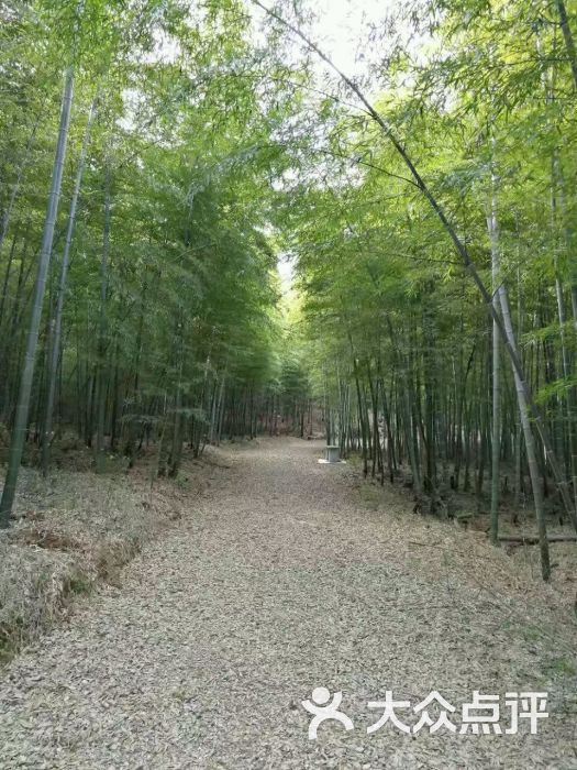 朝阳花谷景区图片 - 第7张