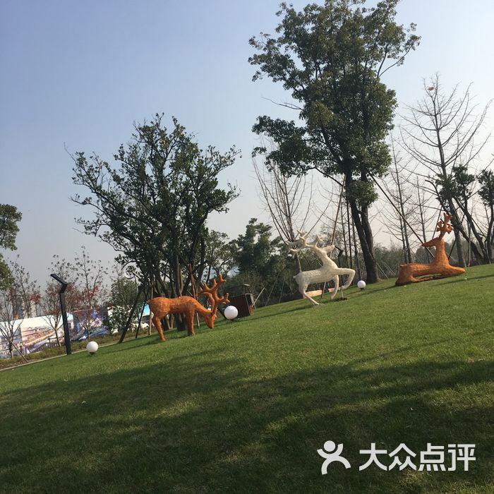 西山漾湿地公园