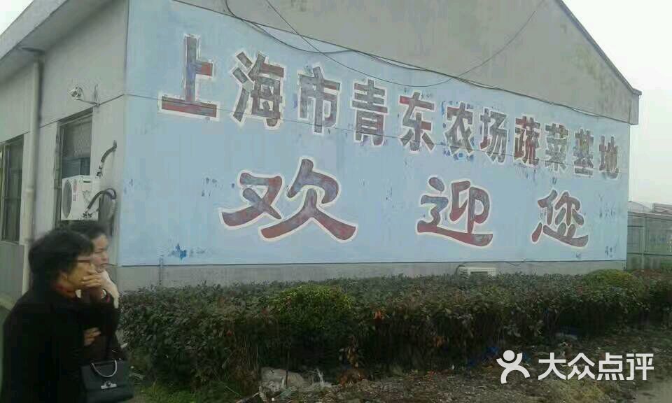 青东农场蔬菜基地-图片-上海休闲娱乐-大众点评网