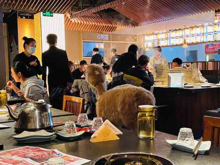 熊喵来了火锅(太原里店)
