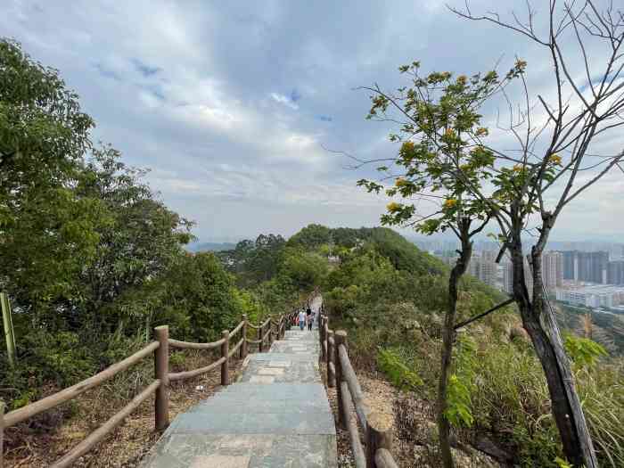 板嶂岭森林公园"山不高,很好爬,早晨起来空气清新,要留意.