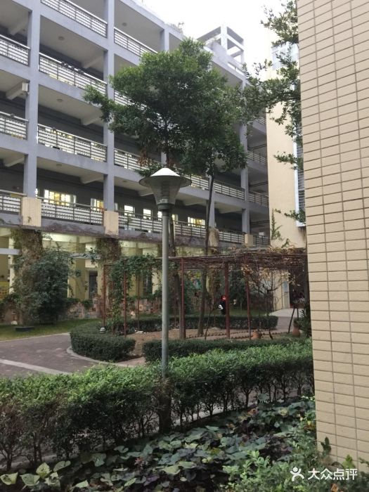 佛山市东平小学图片