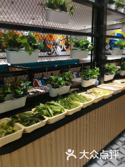 欢乐牧场自助餐厅(碧江广场店)-图片-上海美食-大众