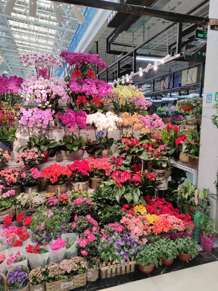 蟹岛国际花卉-"雾霾天,还是花卉市场赏花吧90 蟹岛.