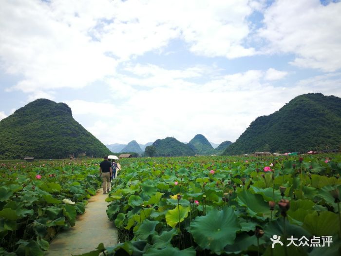 普者黑风景区图片 - 第1张