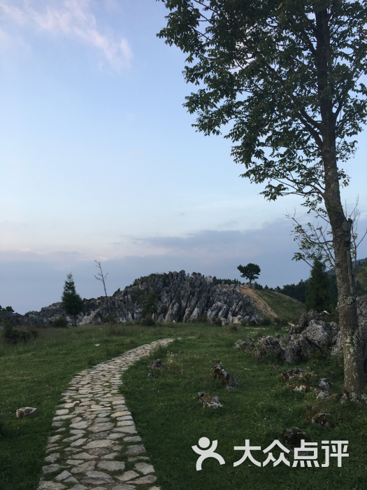 千野草场景区图片 - 第4张