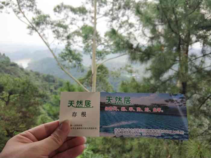 茶山天然居-"【高明·茶山天然居7215】在高山上.