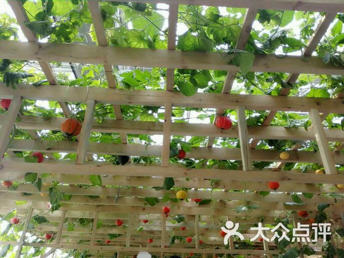 第四届北京农业嘉年华(北京昌平草莓博览园)-图