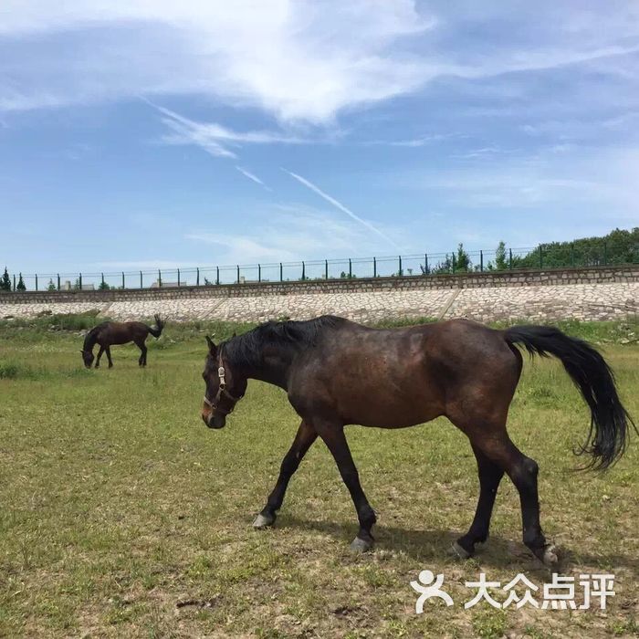 惊帆马术俱乐部