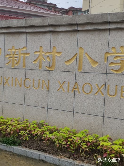 共富新村小学图片 第3张
