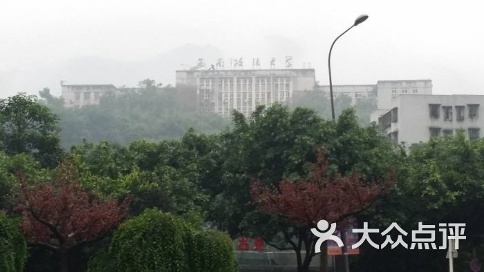 西南政法大学(沙坪坝校区)图片 - 第18张