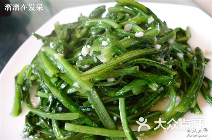 全部图片 菜 **菜,忘记了 溜溜在发呆上传的图片