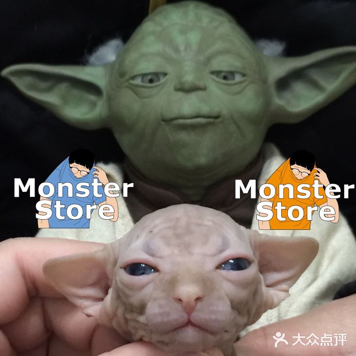 怪兽猫舍monster图片