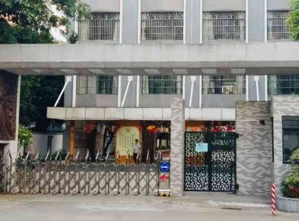 华阳小学(华成校区)-"华成小学虽然占地面积略小,只有