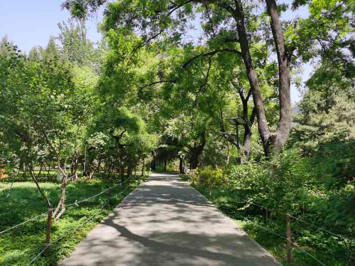 香河园公园-"东城区香河园口袋公园内,绿意盎然,鲜花.