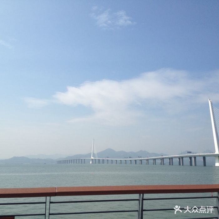 深圳湾公园图片 - 第20张