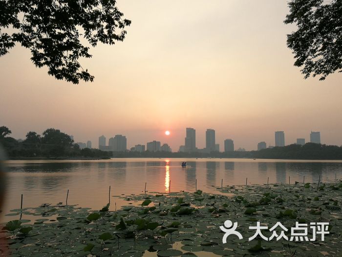 玄武湖公园图片 - 第6张