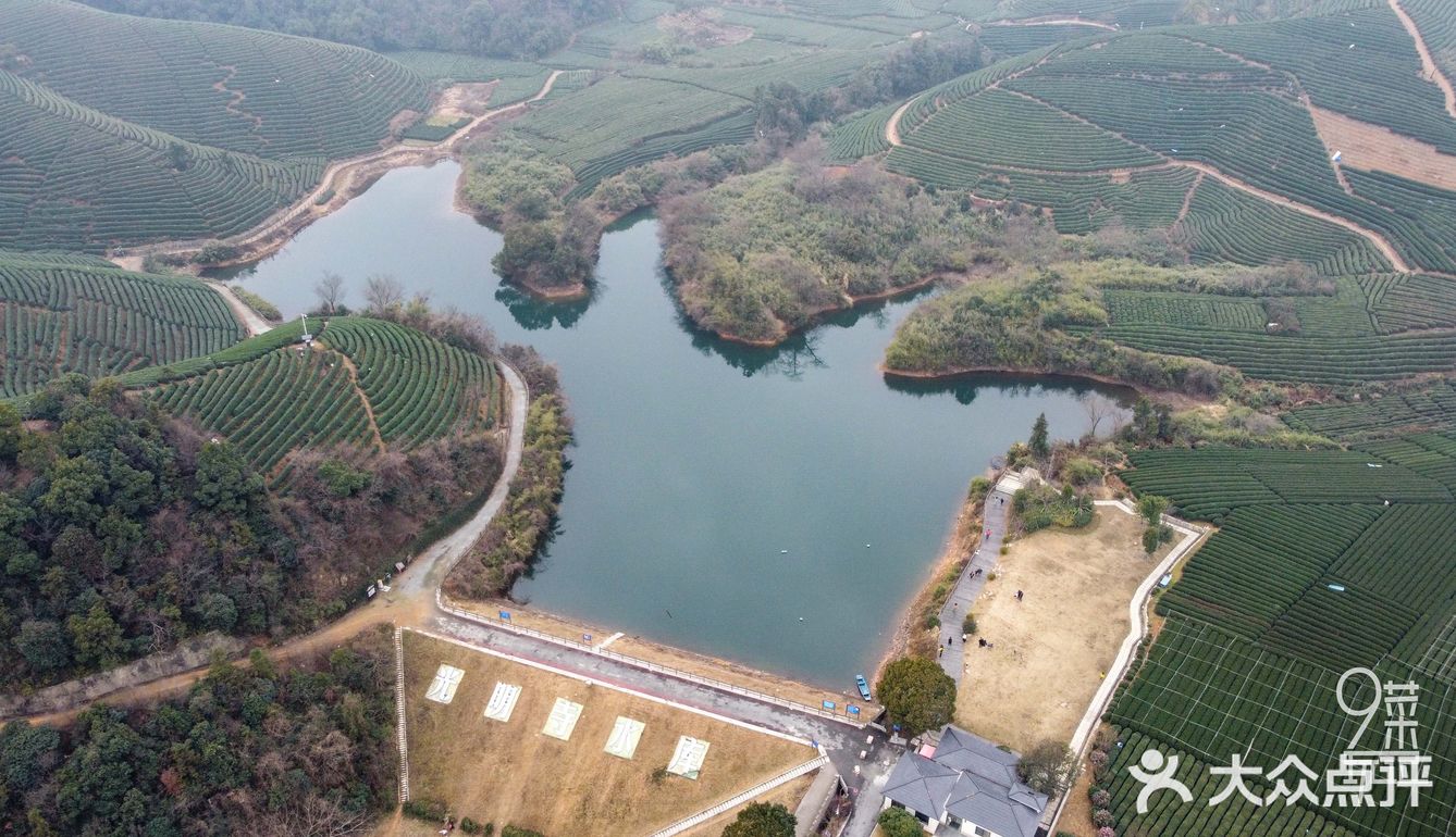 杭州网红地怎么玩龙坞茶村的光明寺水库露营点推荐值得收藏