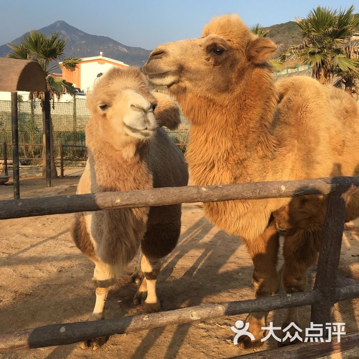 厦门中非世野野生动物园