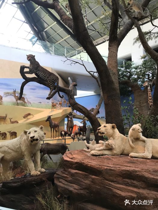 武汉园博园(武汉自然博物馆)图片 - 第22张