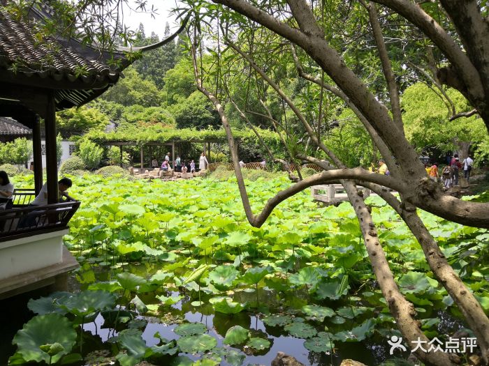 上海醉白池公园图片