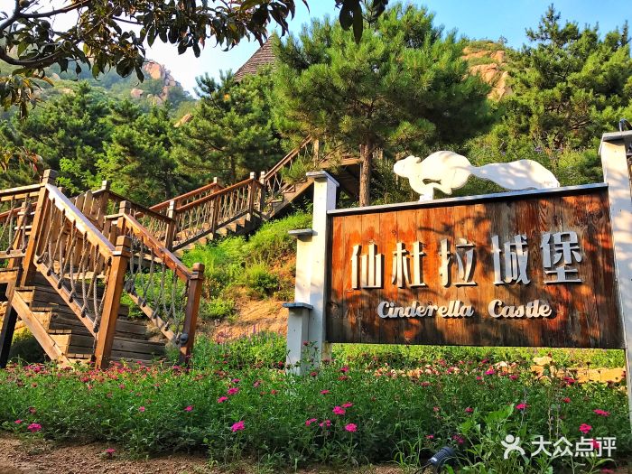 云峰山童话树屋图片