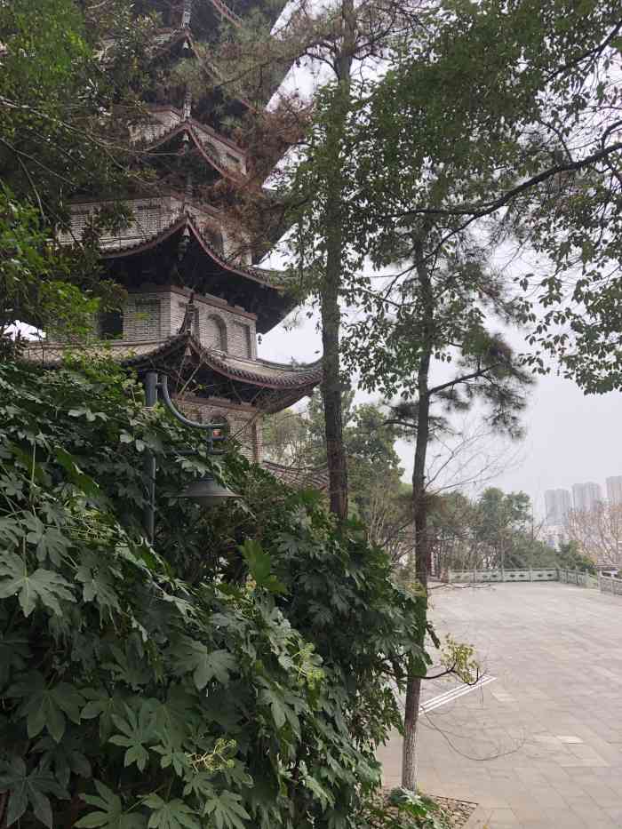 鹿山公园-"依山而建一个7315免费公园7415