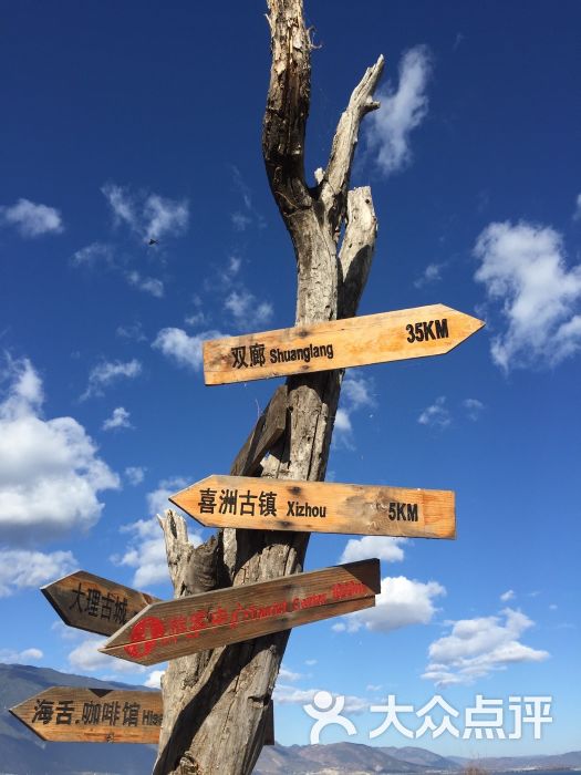 海舌生态公园-图片-喜洲周边游-大众点评网