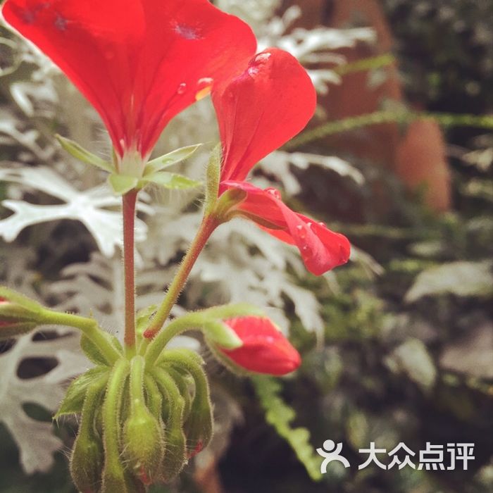 云蔚儿_2489           aaa_760979           vivianmao