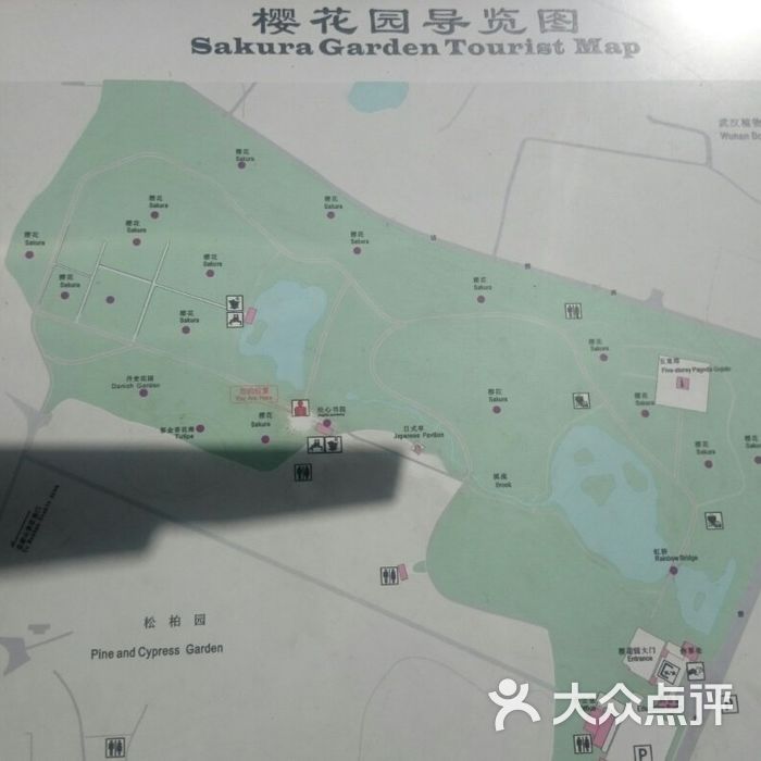 东湖磨山樱花园