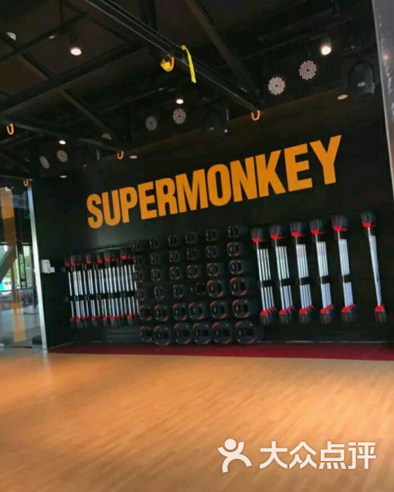 超级猩猩supermonkey图片 - 第1张