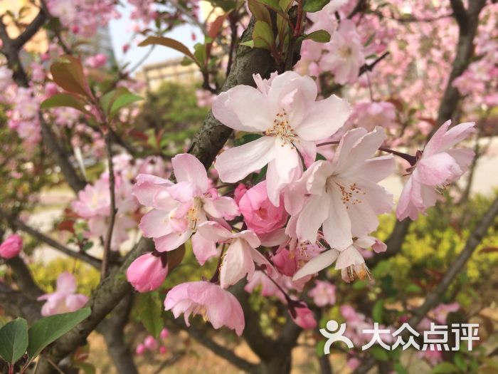 达芬尼斯美发品牌专业连锁(卓越广场店)-图片-