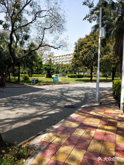 福建医科大学室外篮球场图片 - 第7张