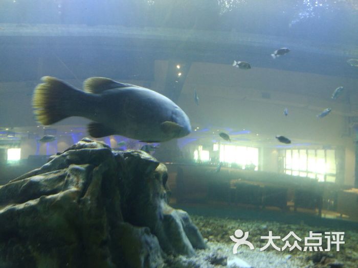 顺盈海洋世界图片 - 第3张
