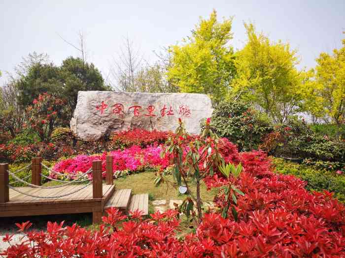 中国杜鹃花博览园-"非常不错的杜鹃花博览园.地理位置