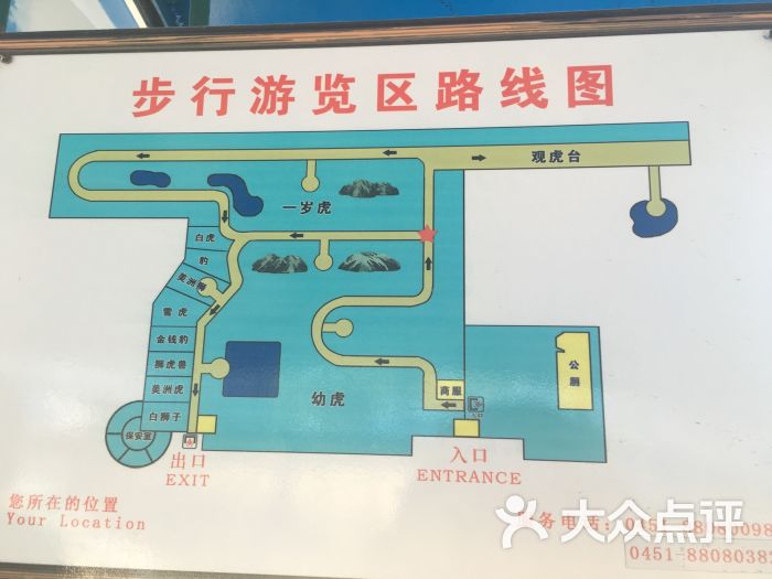 东北虎林园图片 - 第3张