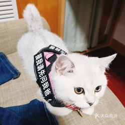 玲珑动物 PKQeu-MFPqBZ0guFEotcn79WgLyQFUphgxjj6Qny7VxkNeeA92AtNcRk2X8X-PEzuzFvxlbkWx5uwqY2qcjixFEuLYk00OmSS1IdNpm8K8twhW7bzr4O88Ivp4FuDG0SfCF2ubeXzk49OsGrXt_KYDCngOyCwZK-s3fqawWswzk.jpg