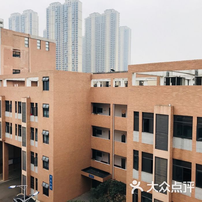 麓山滨江实验学校