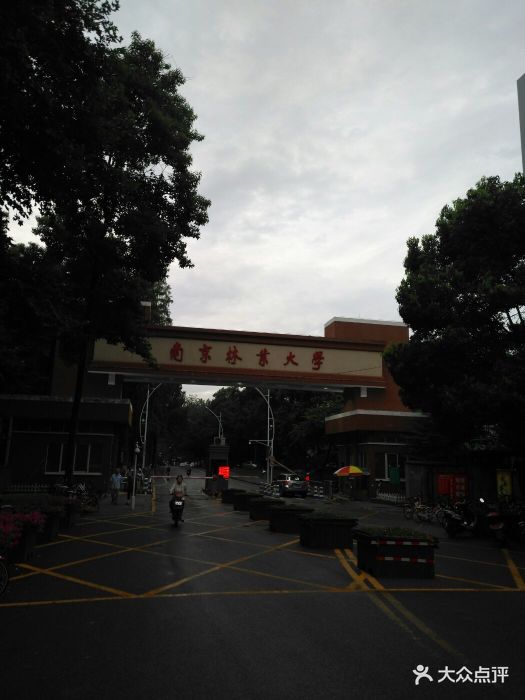 南京林业大学校门图片