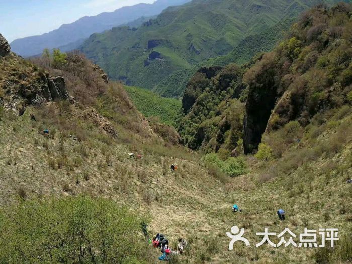 黄草梁风景区图片 - 第2张