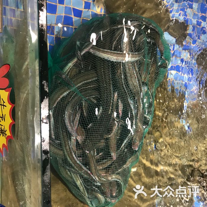 良友海鲜
