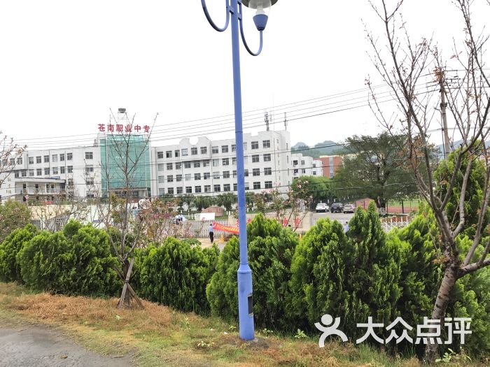 苍南县职业中等专业学校图片 - 第3张