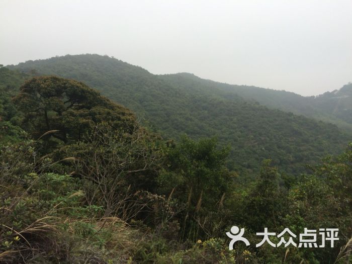 马峦山郊野公园-马峦山图片-深圳周边游-大众点评网