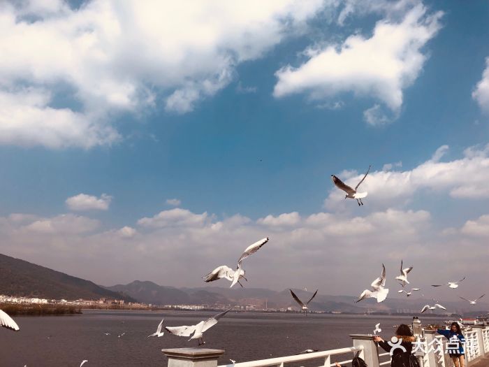 【1】有人云:试金可以用火,试女人可以.-海埂