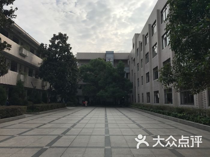 杭州市文一街小学图片 第3张