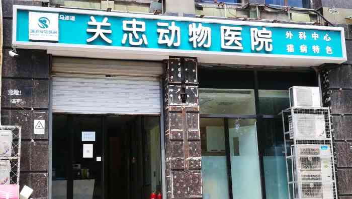 瑞派·关忠动物医院(马连道店)-"我家伍仁长大啦,为了她的健康,来关忠